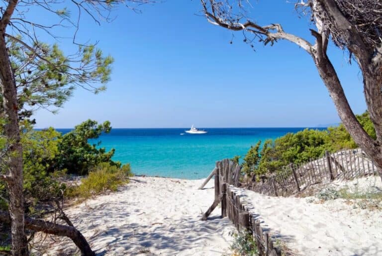 Visite de la plage de Saleccia en bateau navette