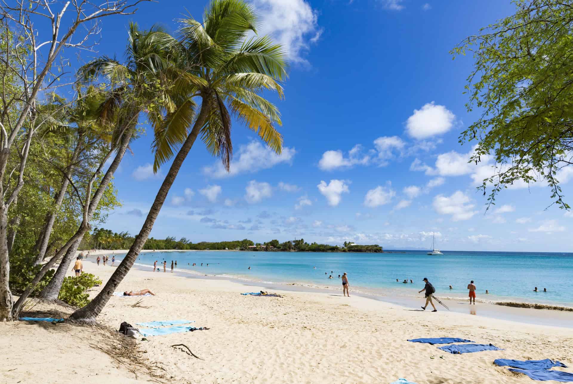 plage des salines martinique