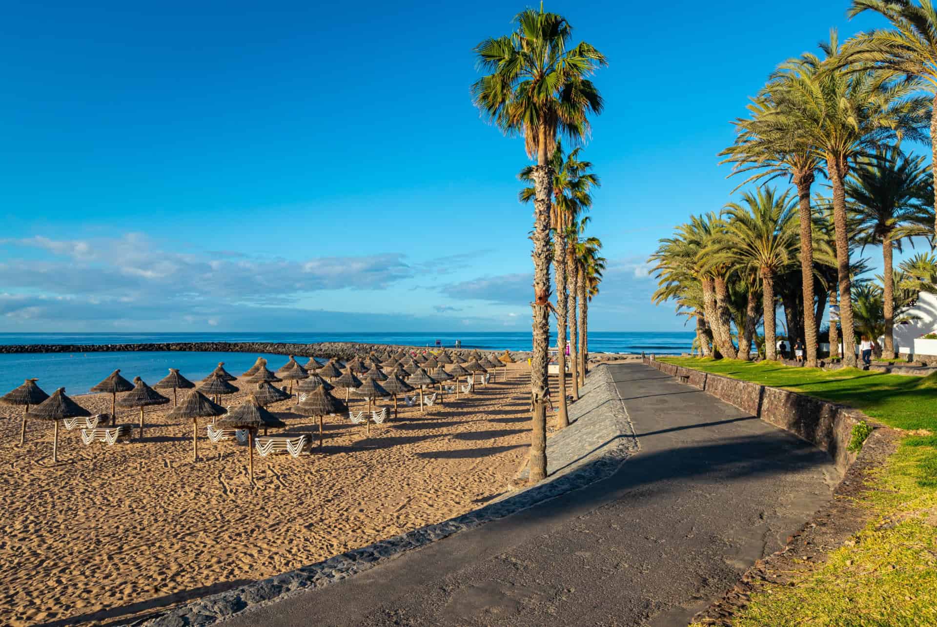 playa de las americas