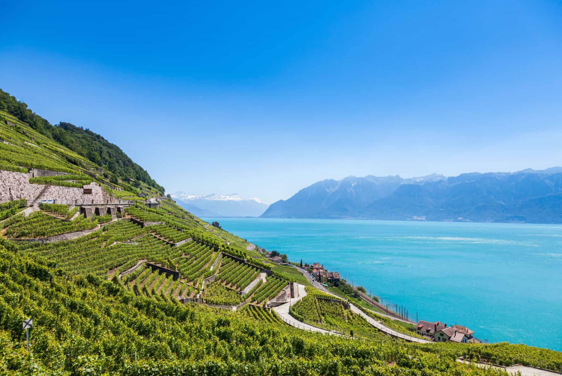 plus belles randonnees de suisse terrasses de lavaux