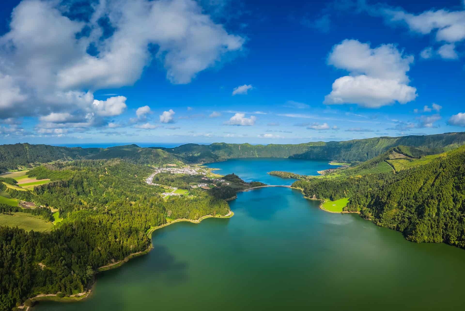 point de vue du roi