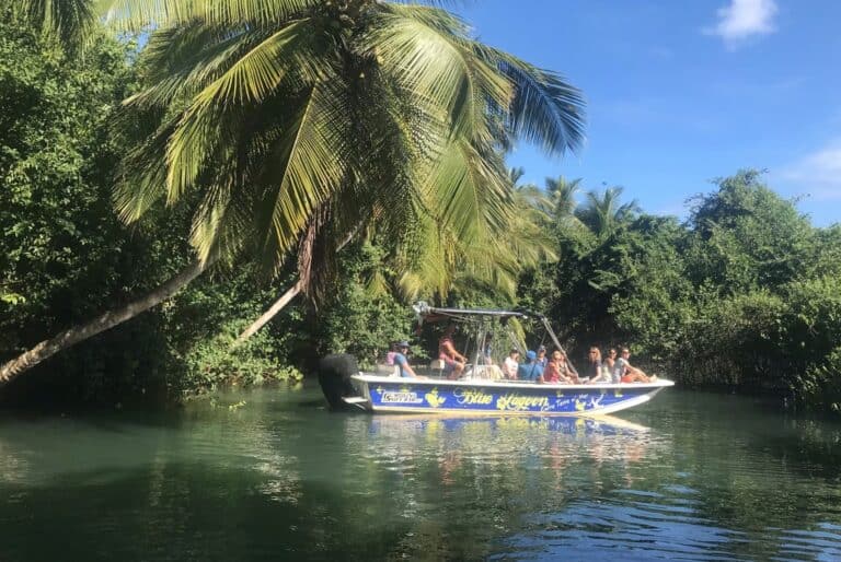 Balade en bateau et plongée au Grand Cul-de-Sac