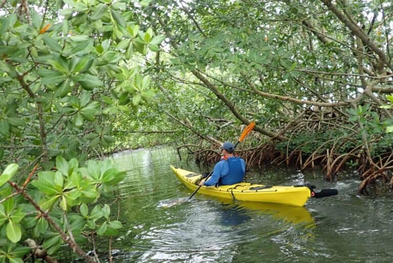 Excursion en kayak depuis Morne-à-l’Eau