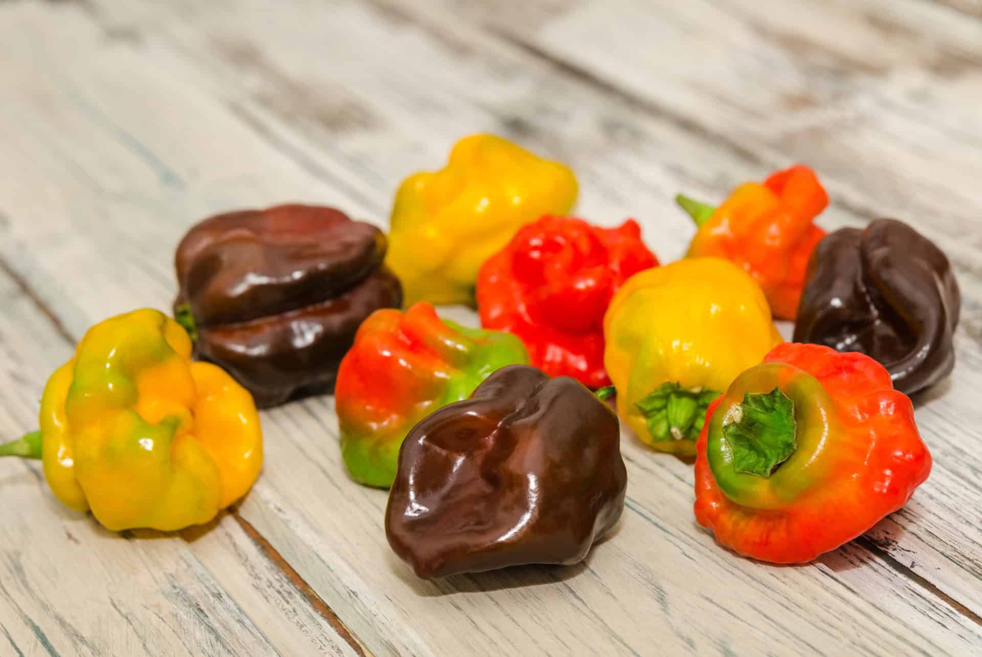 que faire a pointe a pitre gouter aux piments antillais