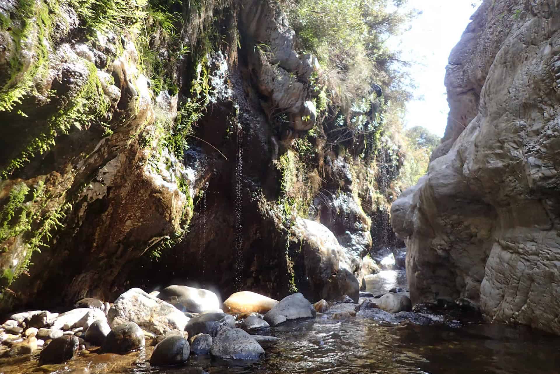 riviere guadalmina excursion