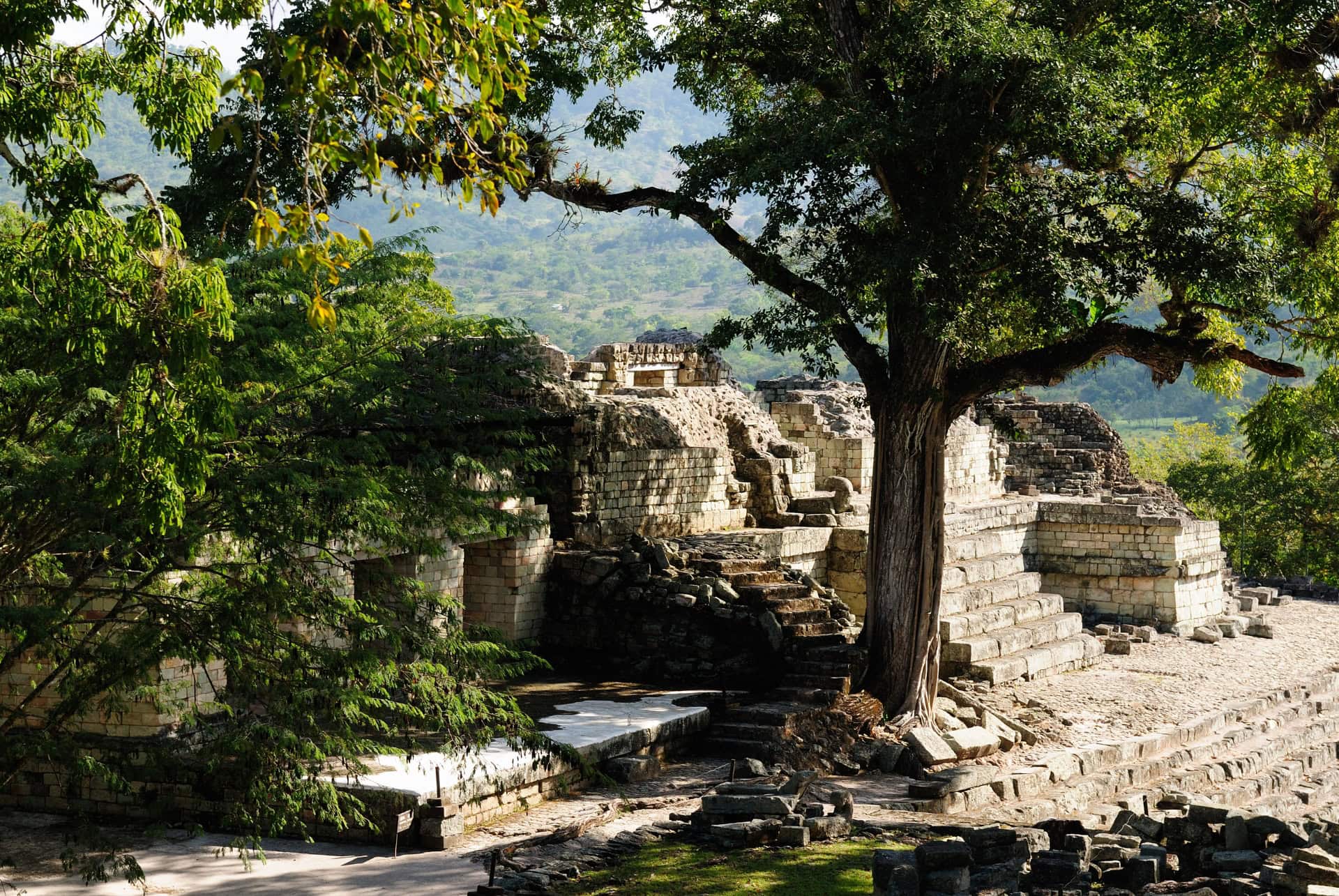 ruines copan honduras