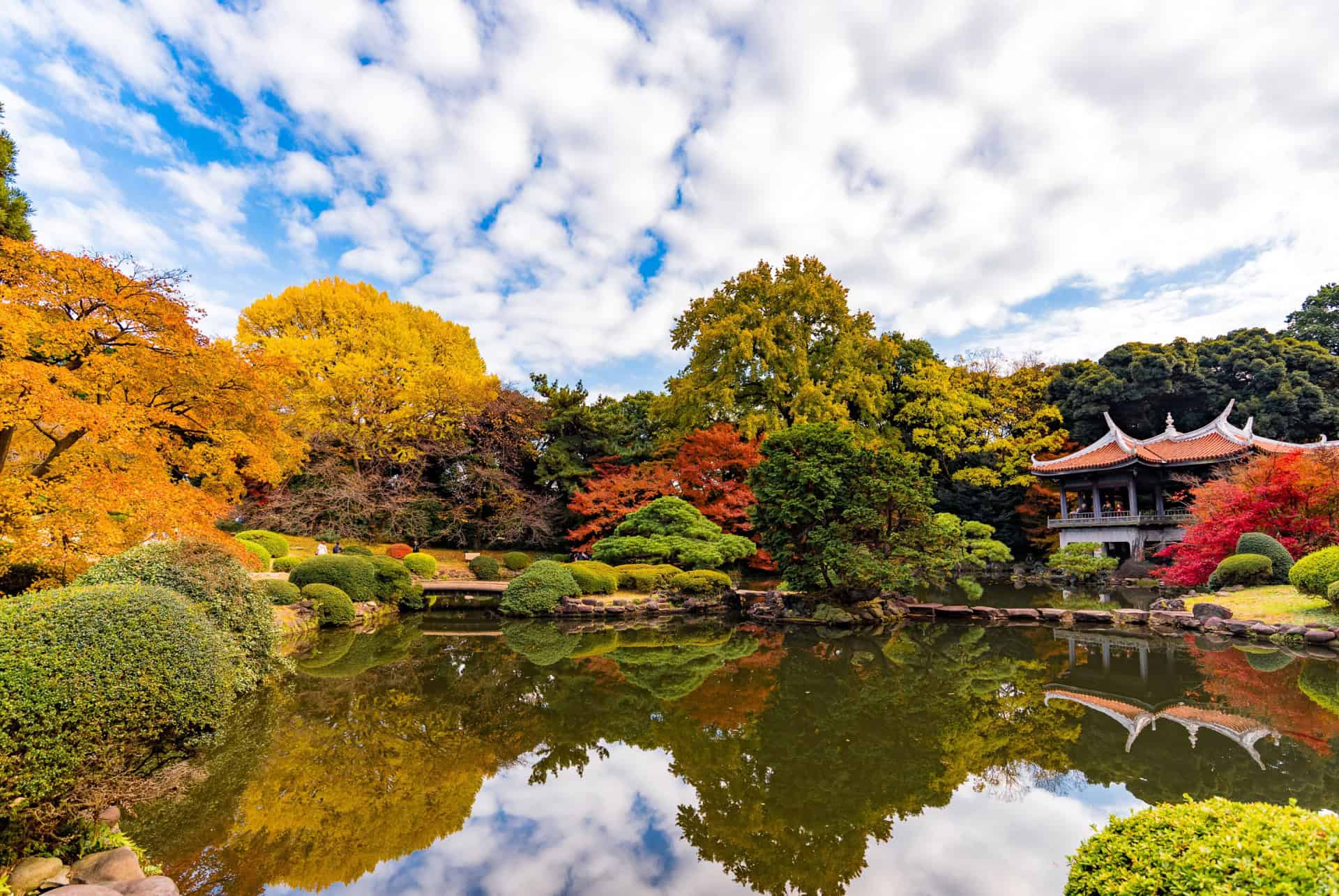 shinjuku gyoen park tokyo en 4 jours