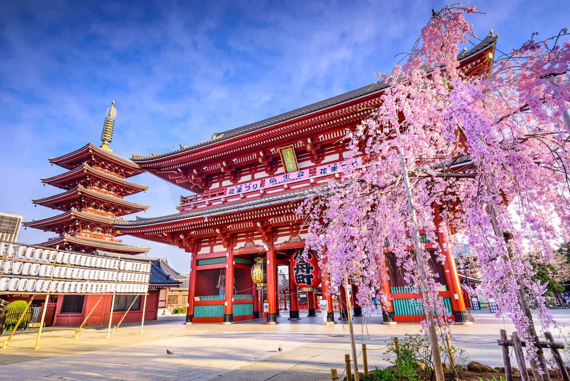 temple sensoji tokyo en 4 jours