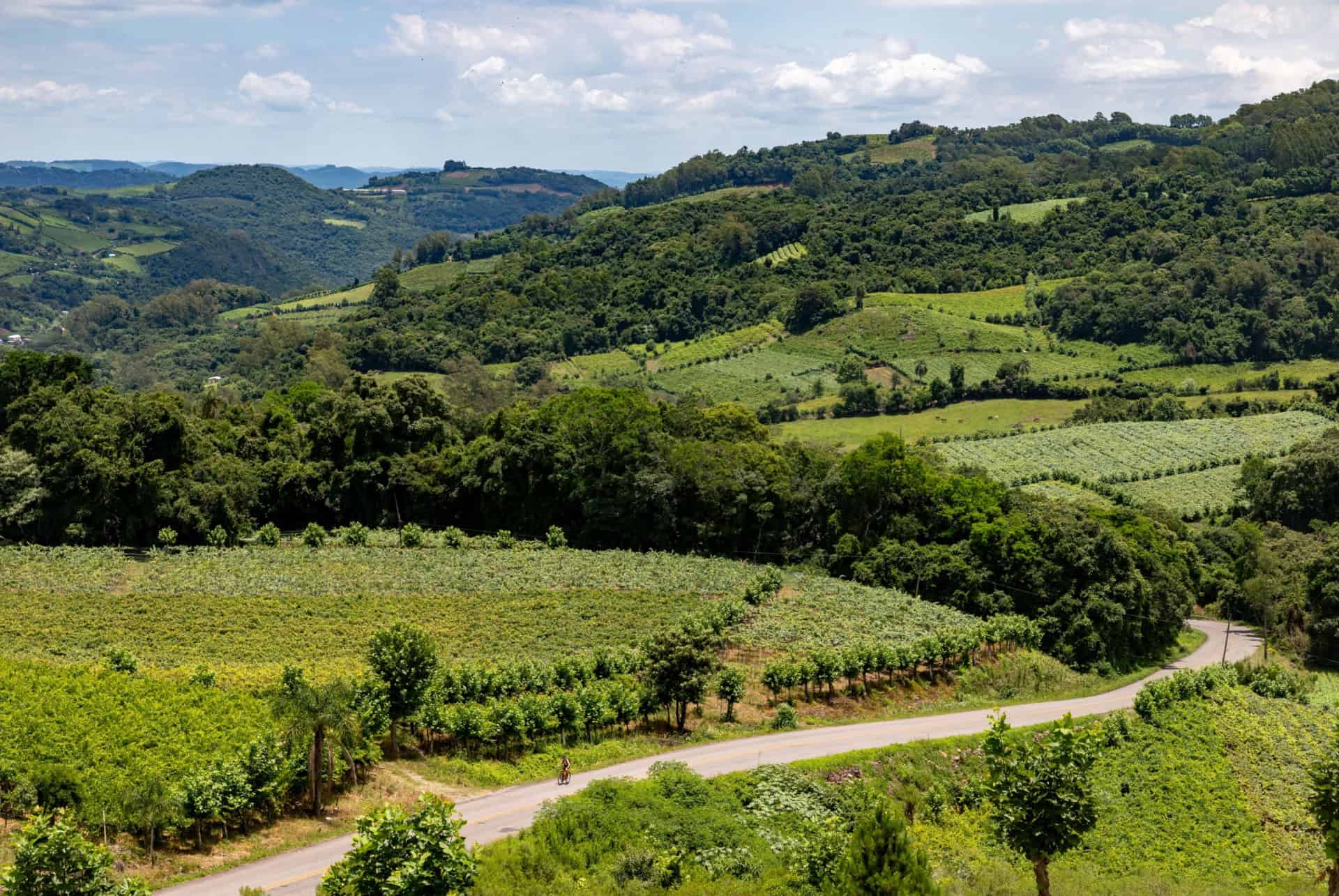 vale dos vinhedos