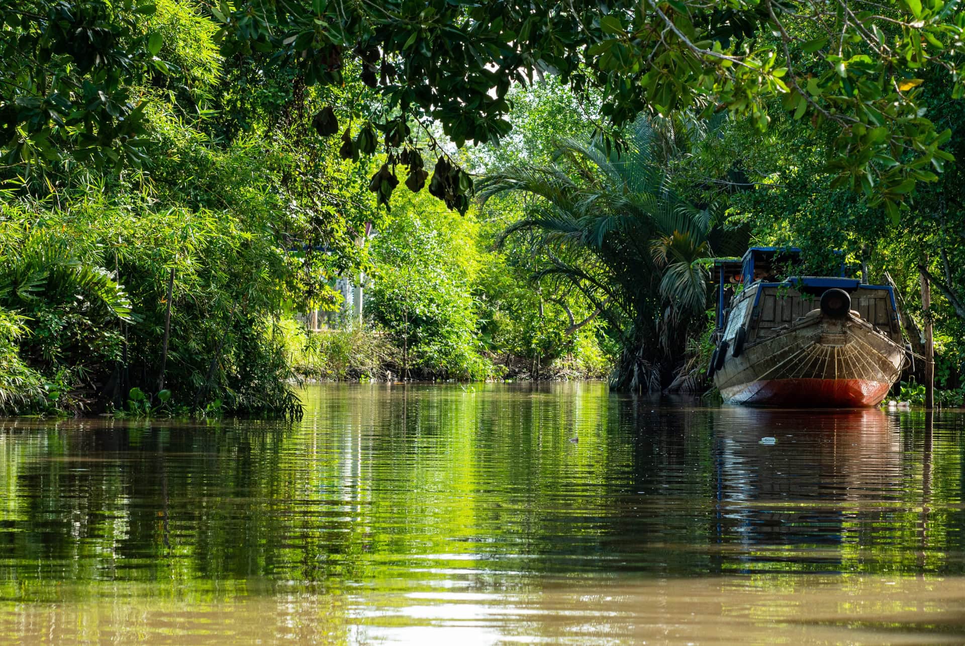vietnam en juillet delta du mekong