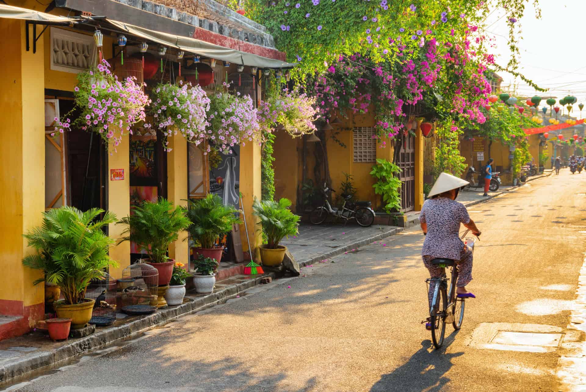 vietnam en juillet
