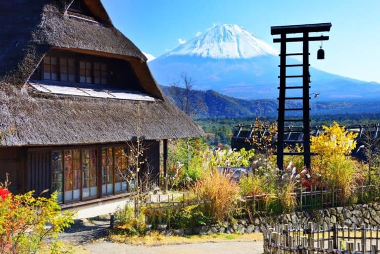 Depuis Tokyo : Tour des sites avec vue sur le Mont Fuj
