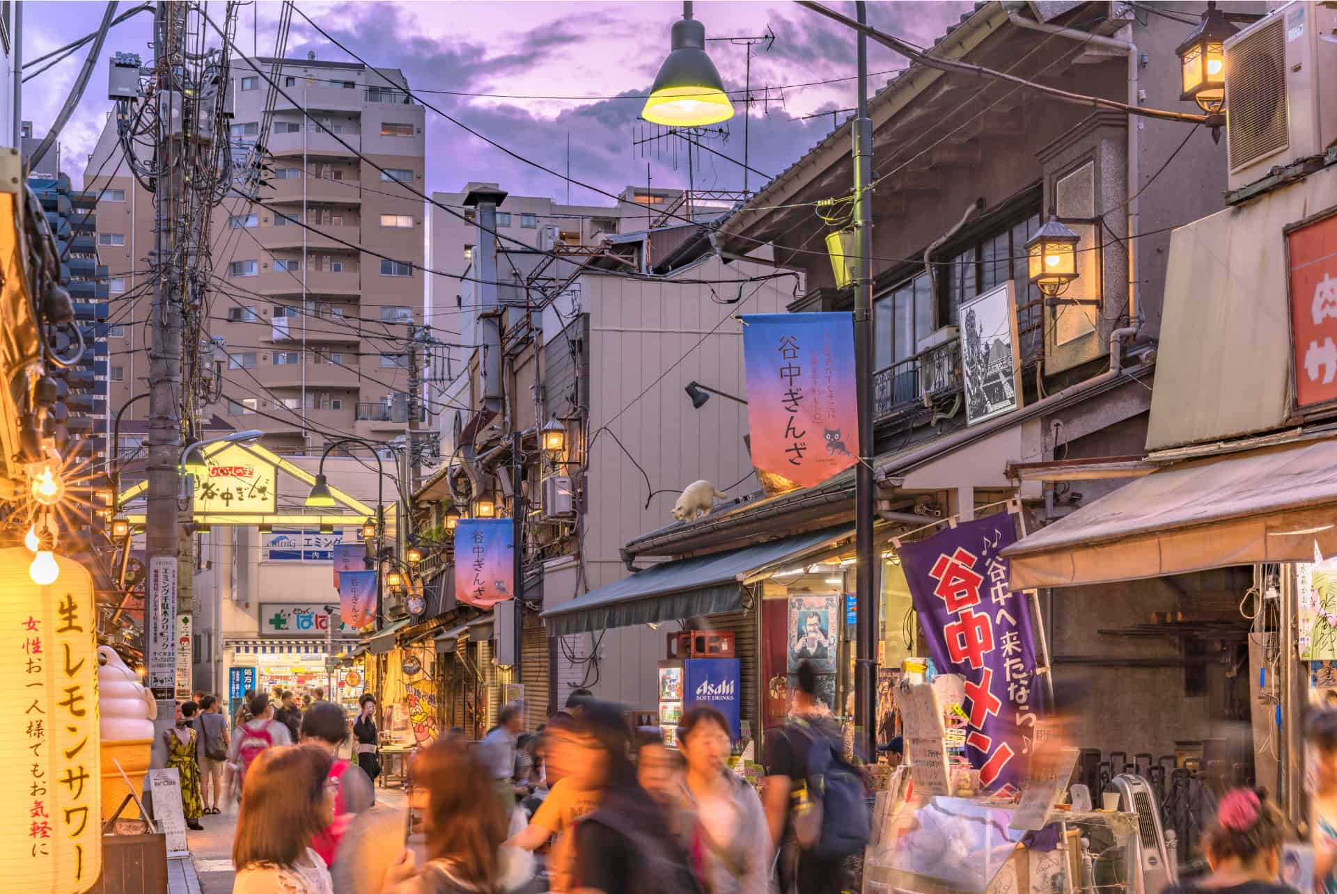 yanaka tokyo en 4 jours