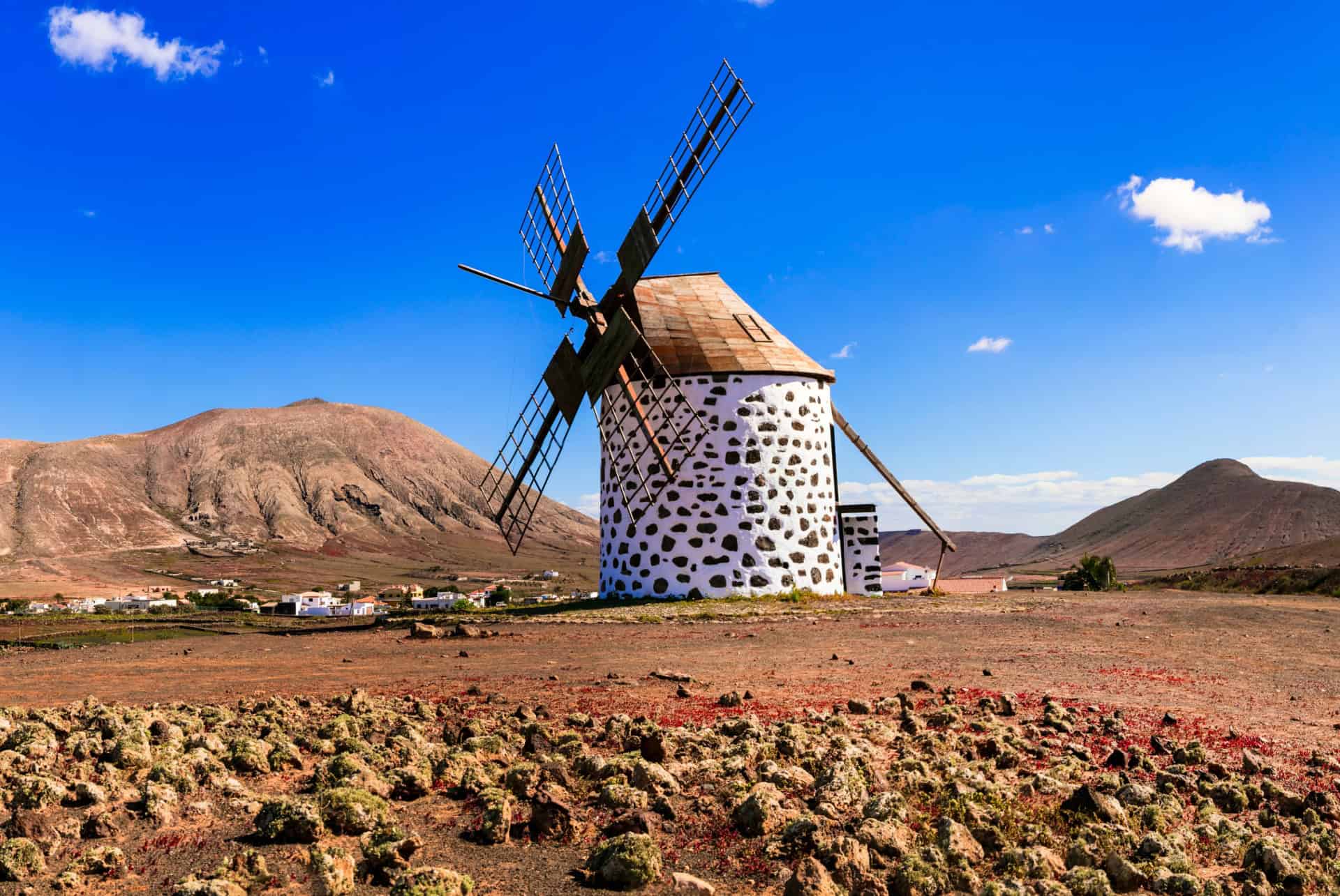 Oliva que faire à fuerteventura