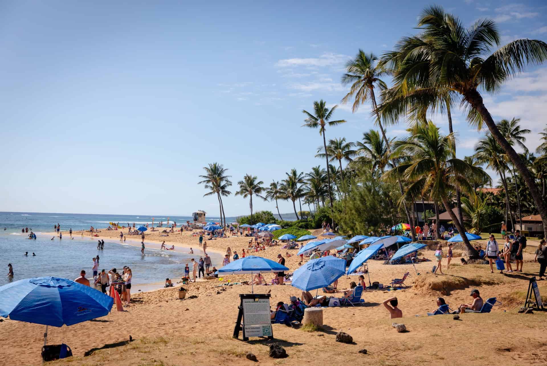 affluence touristique hawai
