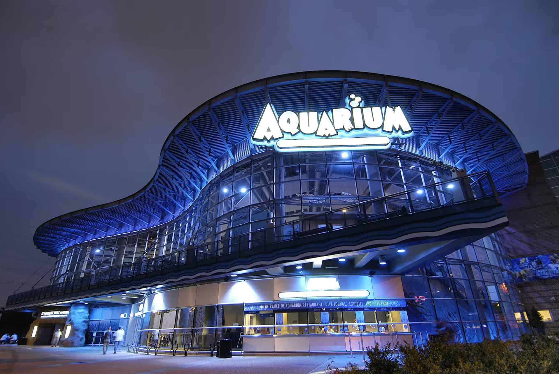 aquarium de denver