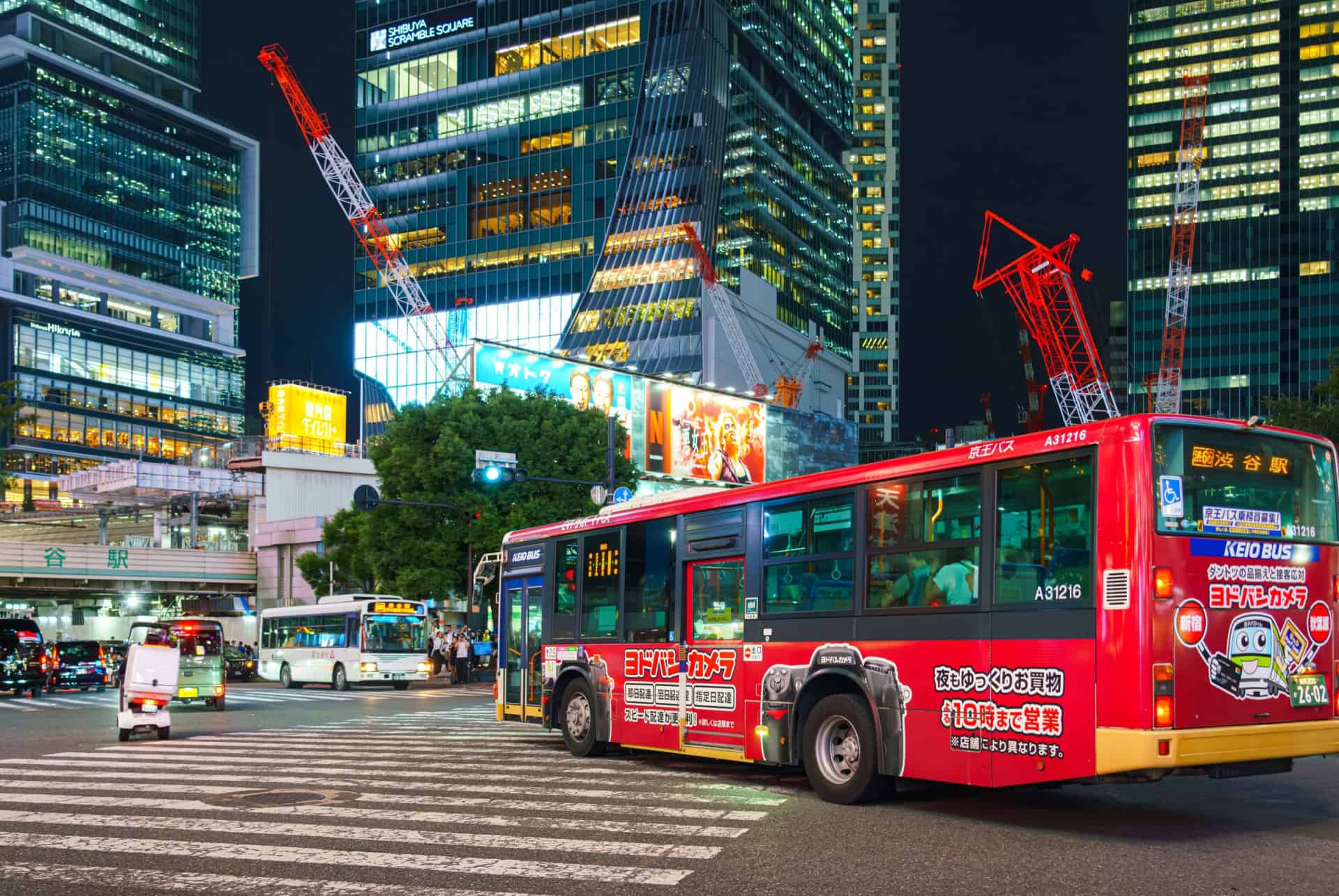 bus touristique