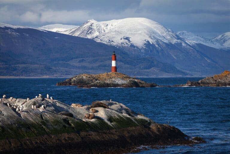 Croisière en catamaran sur le canal de Beagle