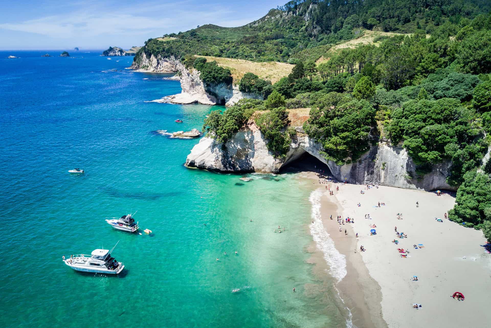 cathedral cove coromandel