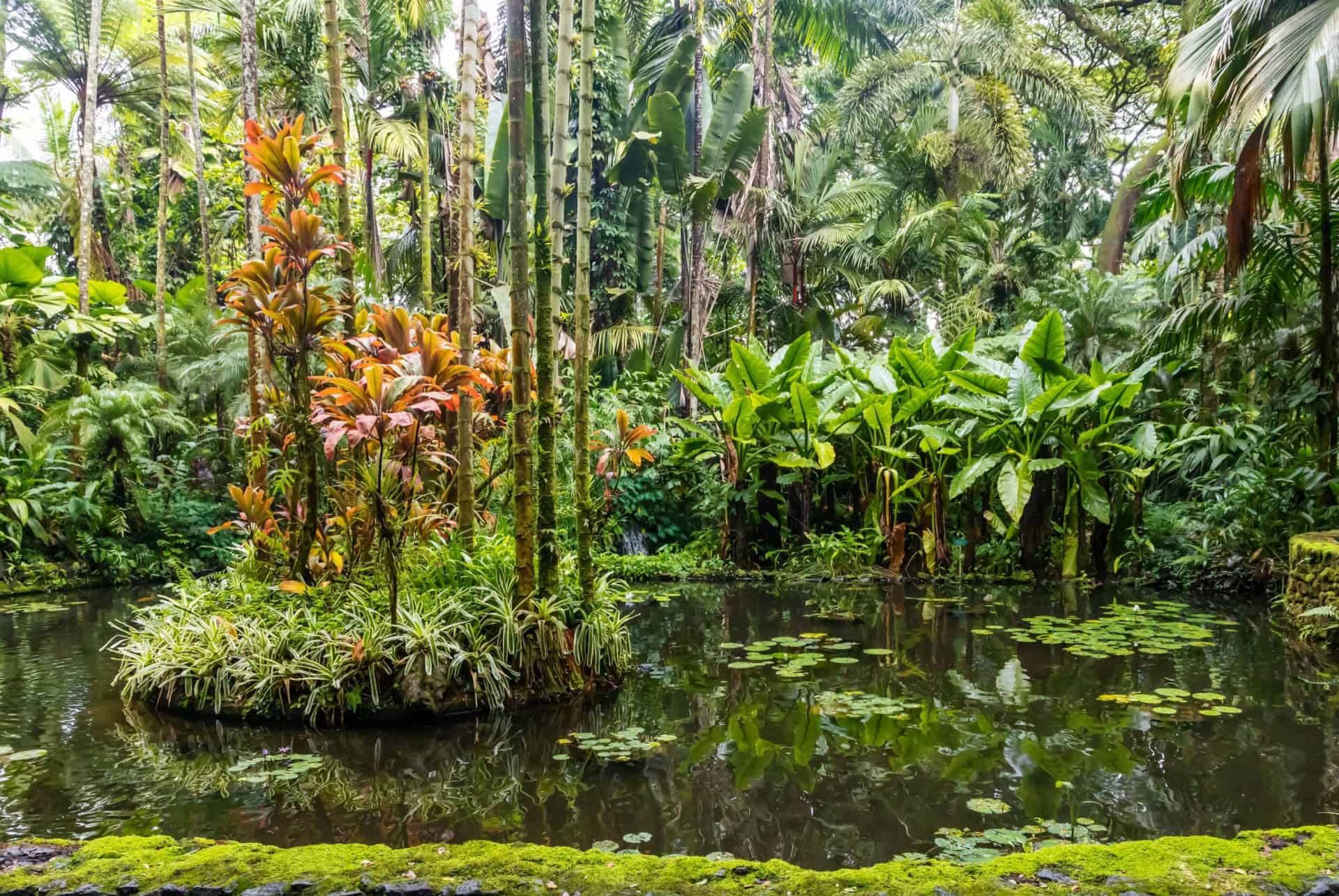 climat hawai en hiver