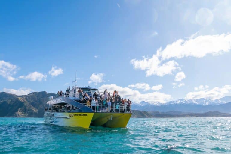 Croisière d'observation des baleines