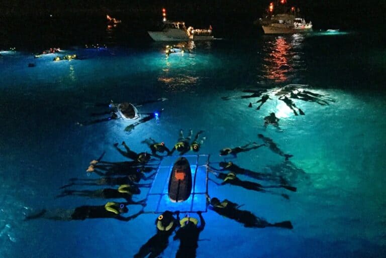 Plongée nocturne avec les raies mantas à Kona, Grande Île