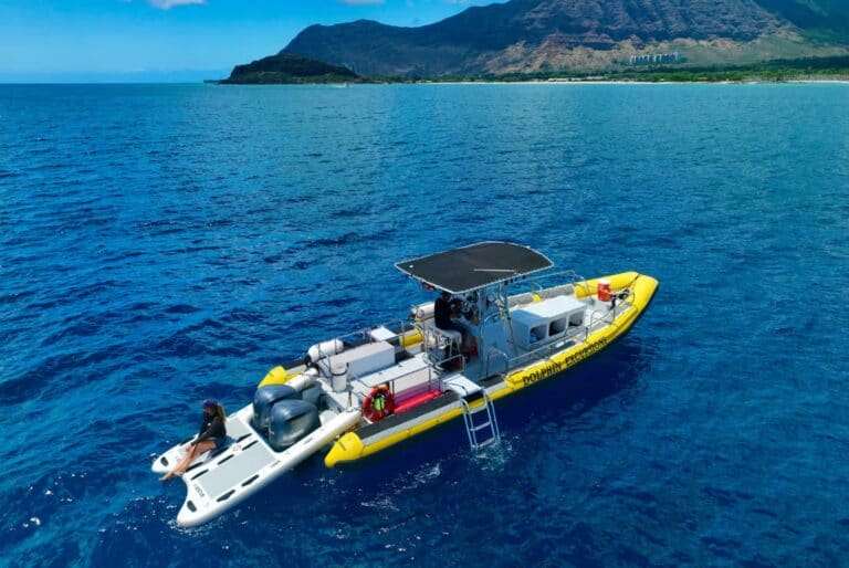 Nage avec les dauphins et les tortues à Waianae, Oahu