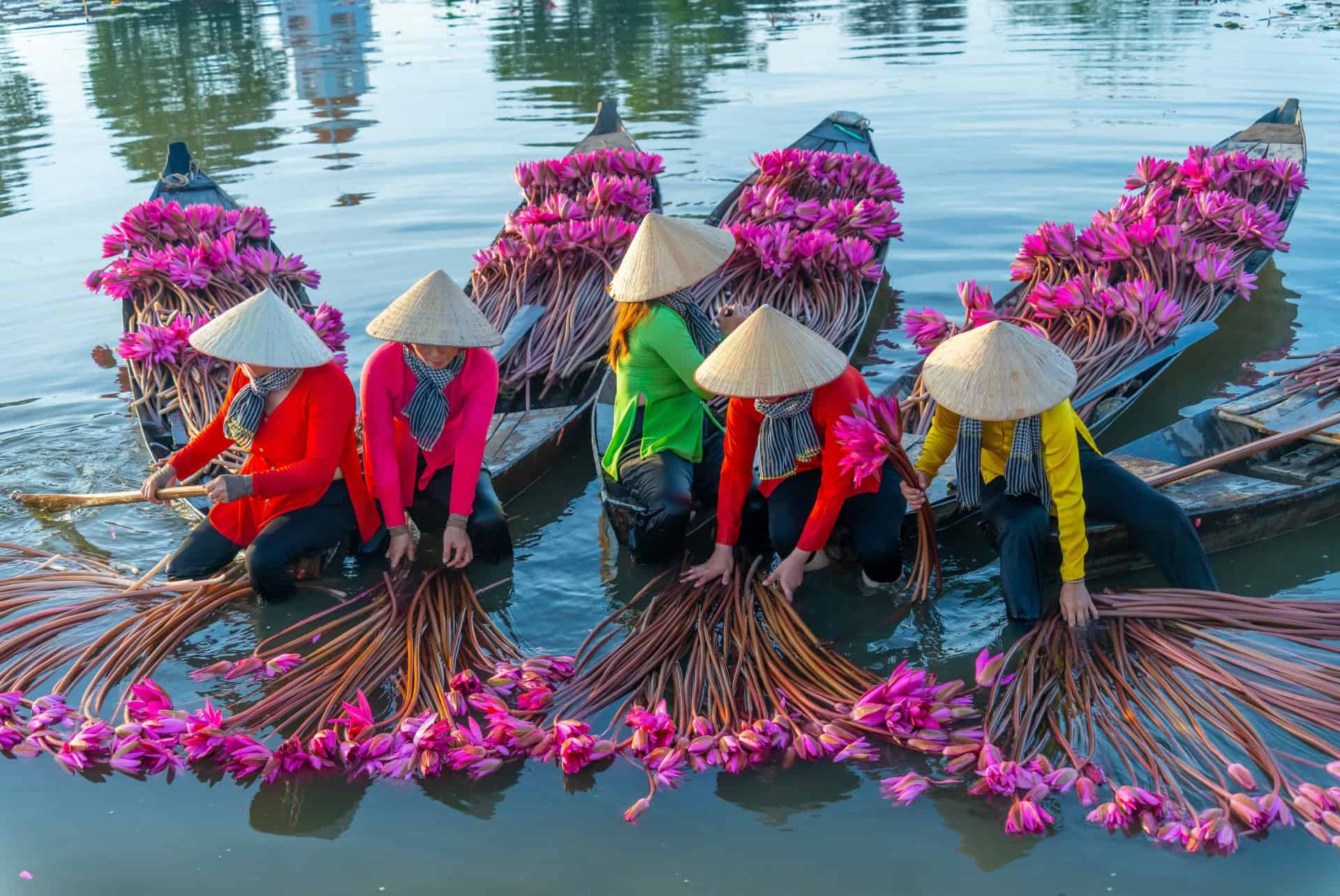 delta du mekong vietnam en mars