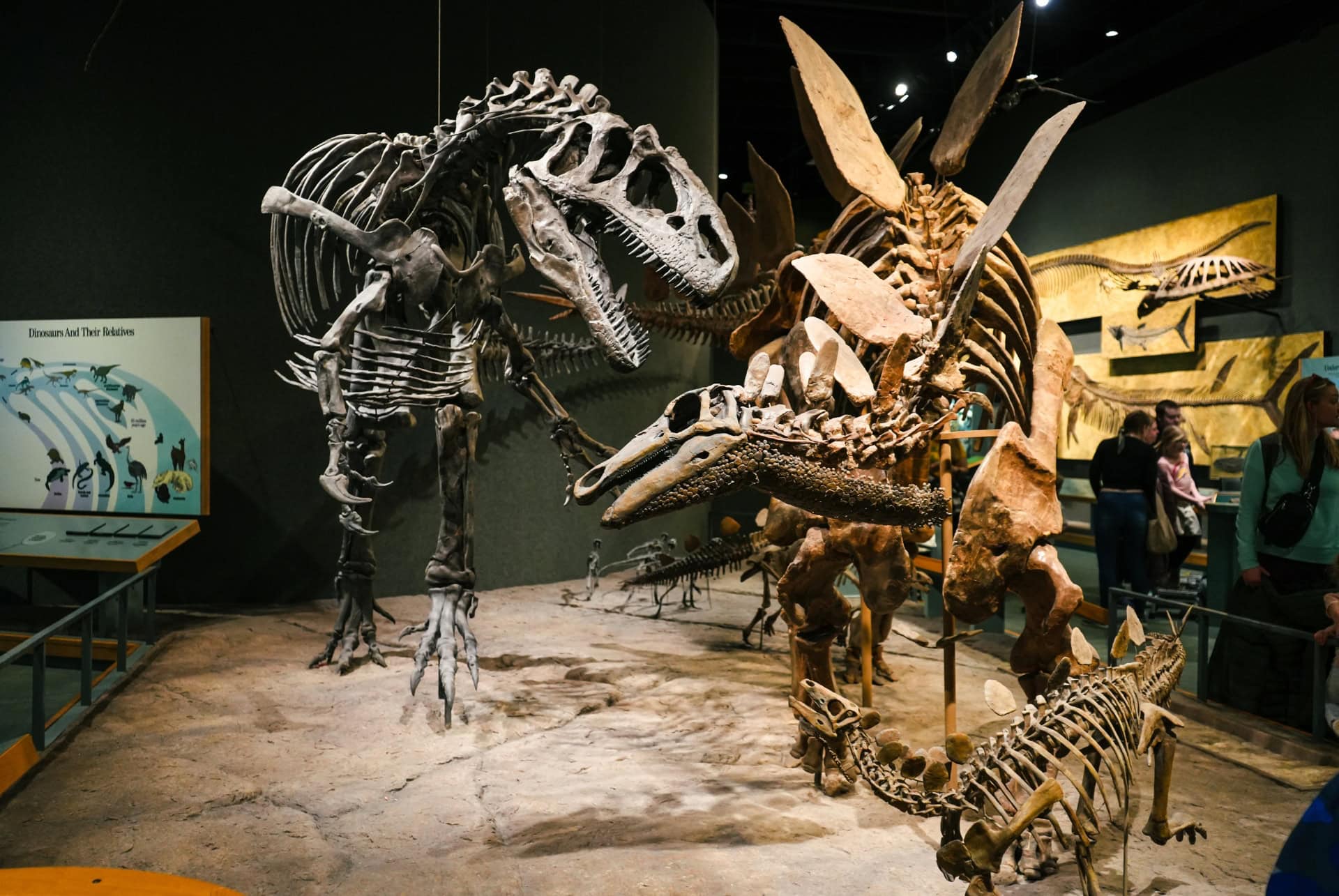 denver museum of nature and science
