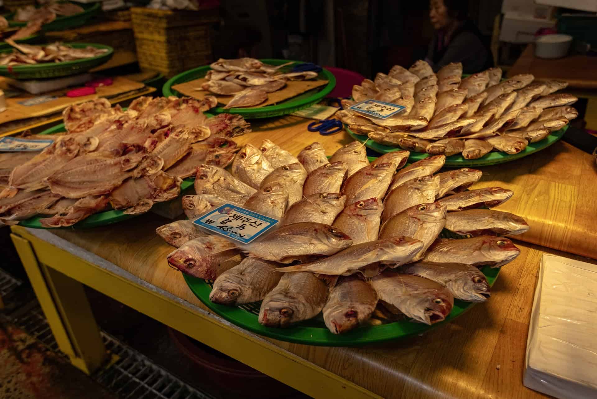 dongmun market jeju