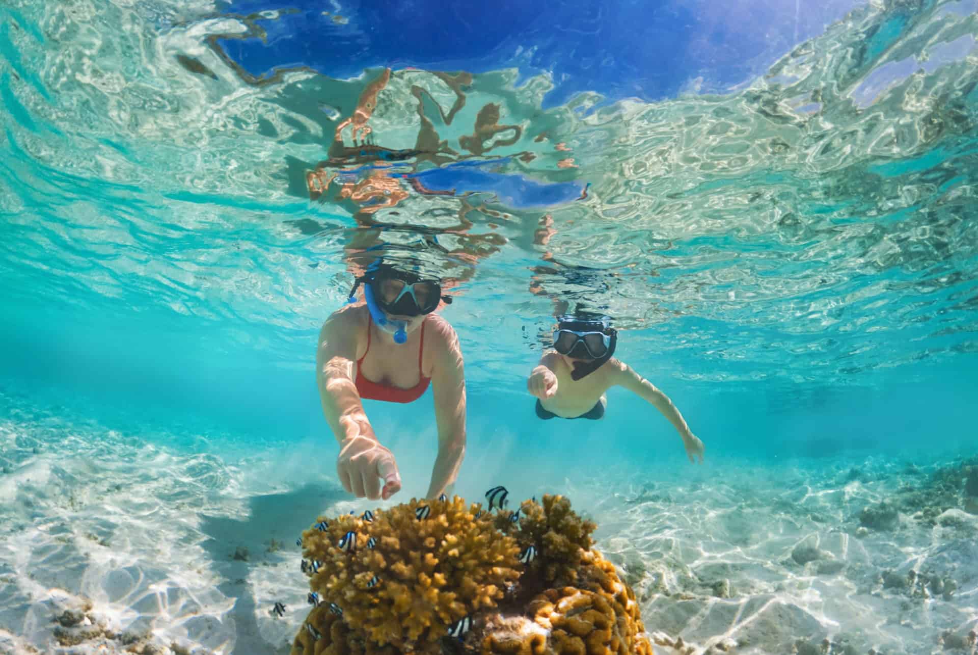 faire de la plongee aux maldives en fevrier