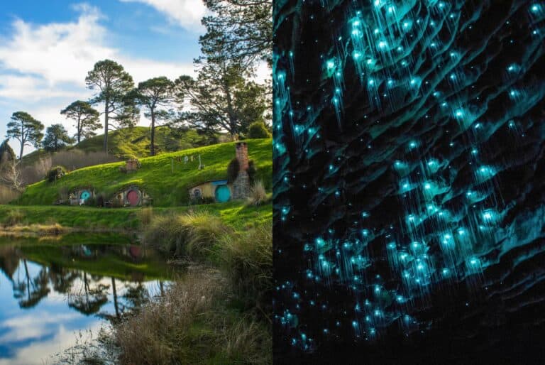 Visite de Hobbiton et des grottes de Waitomo
