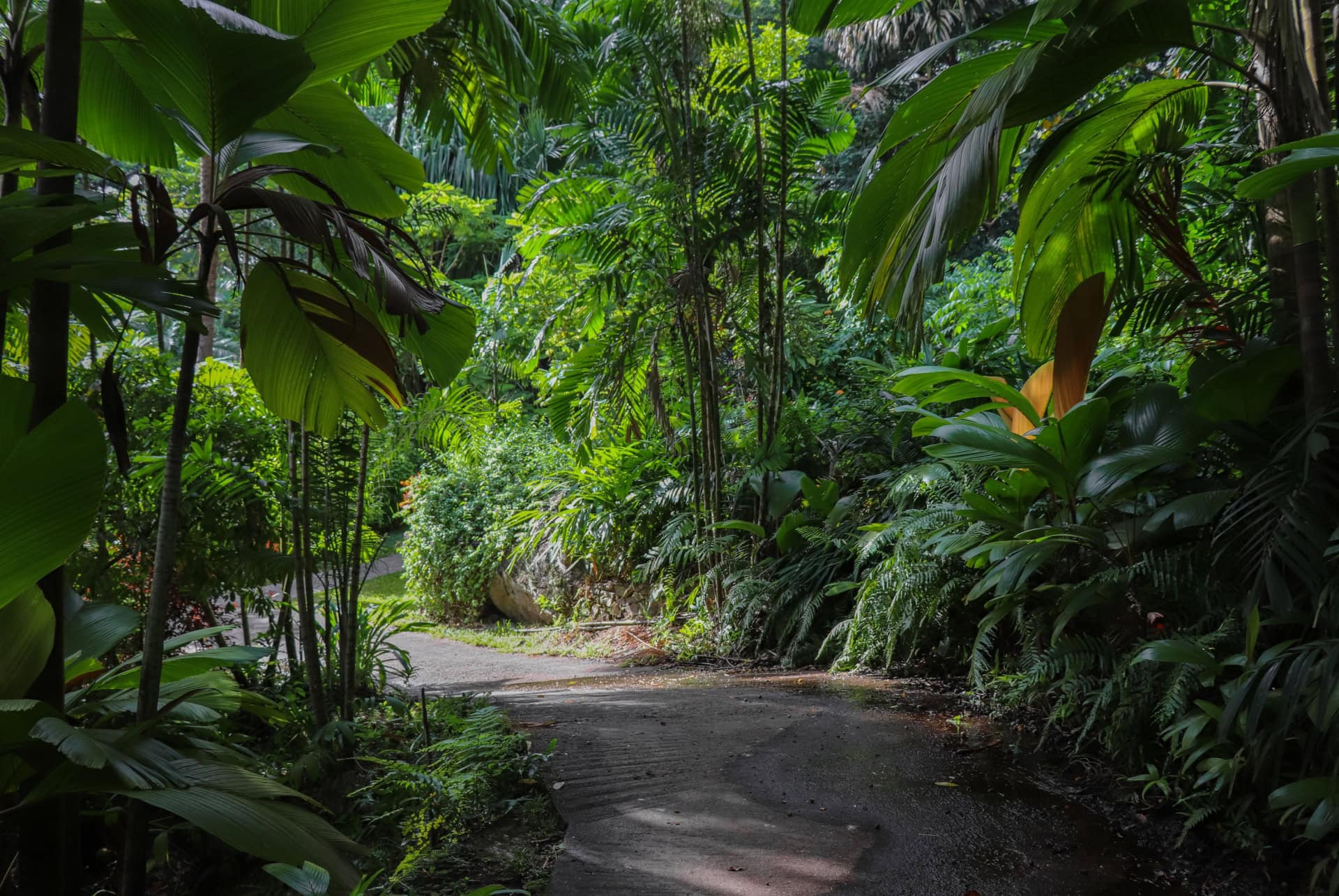jardin botanique de victoria