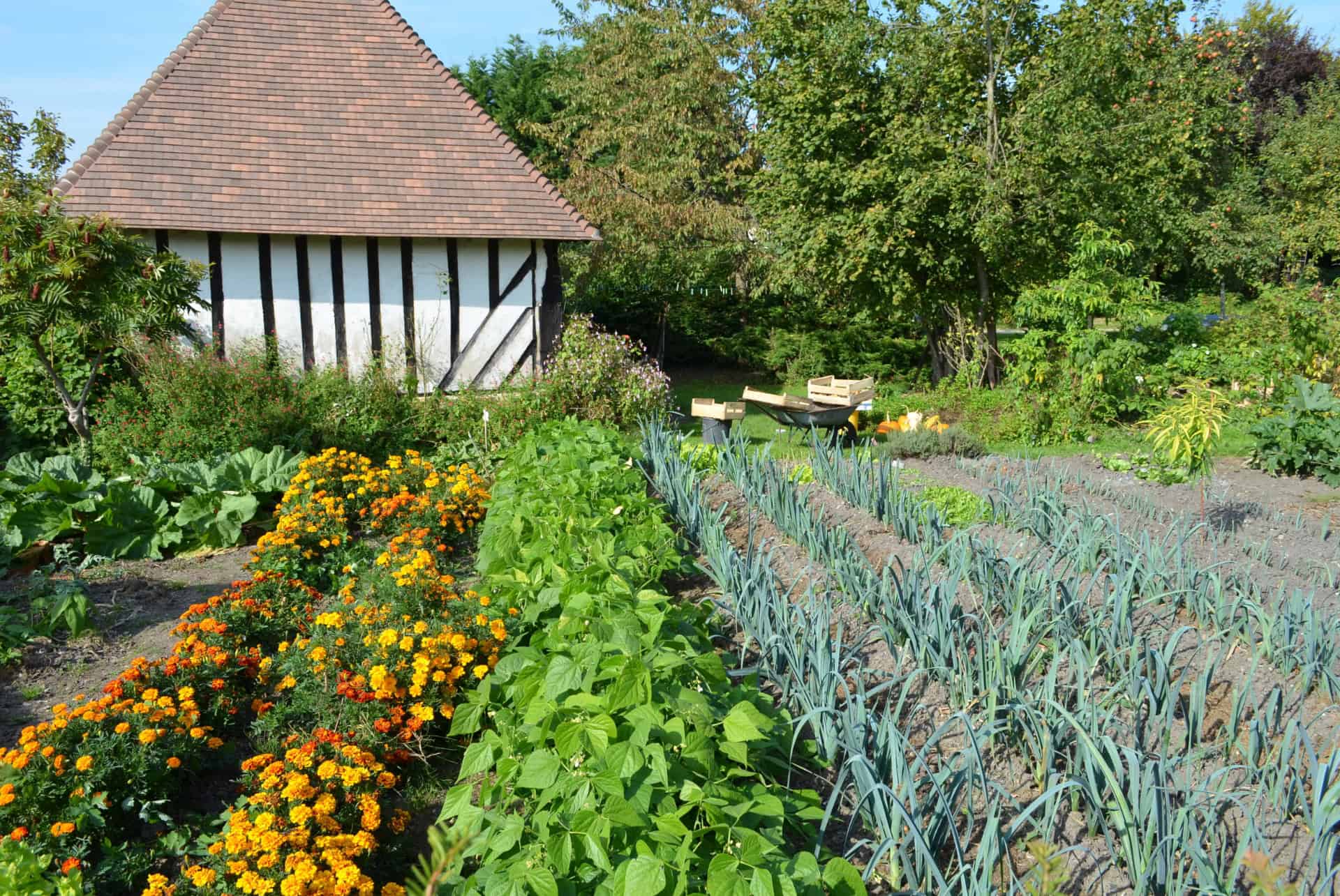 jardin typique normand a cambremer