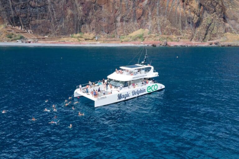 Croisière d'observation des dauphins et des baleines