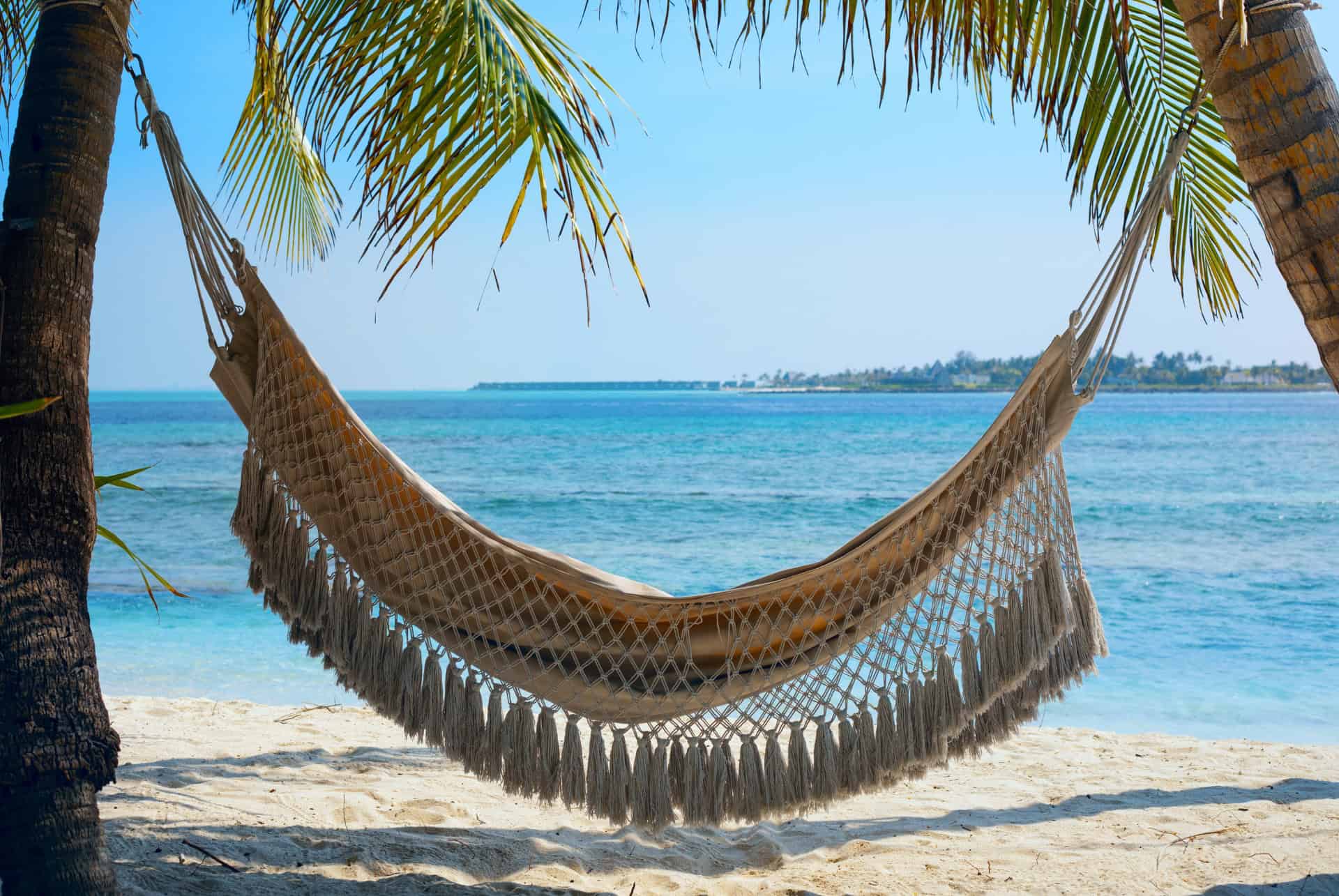 maldives en mars hamac sur une plage de thulusdhoo