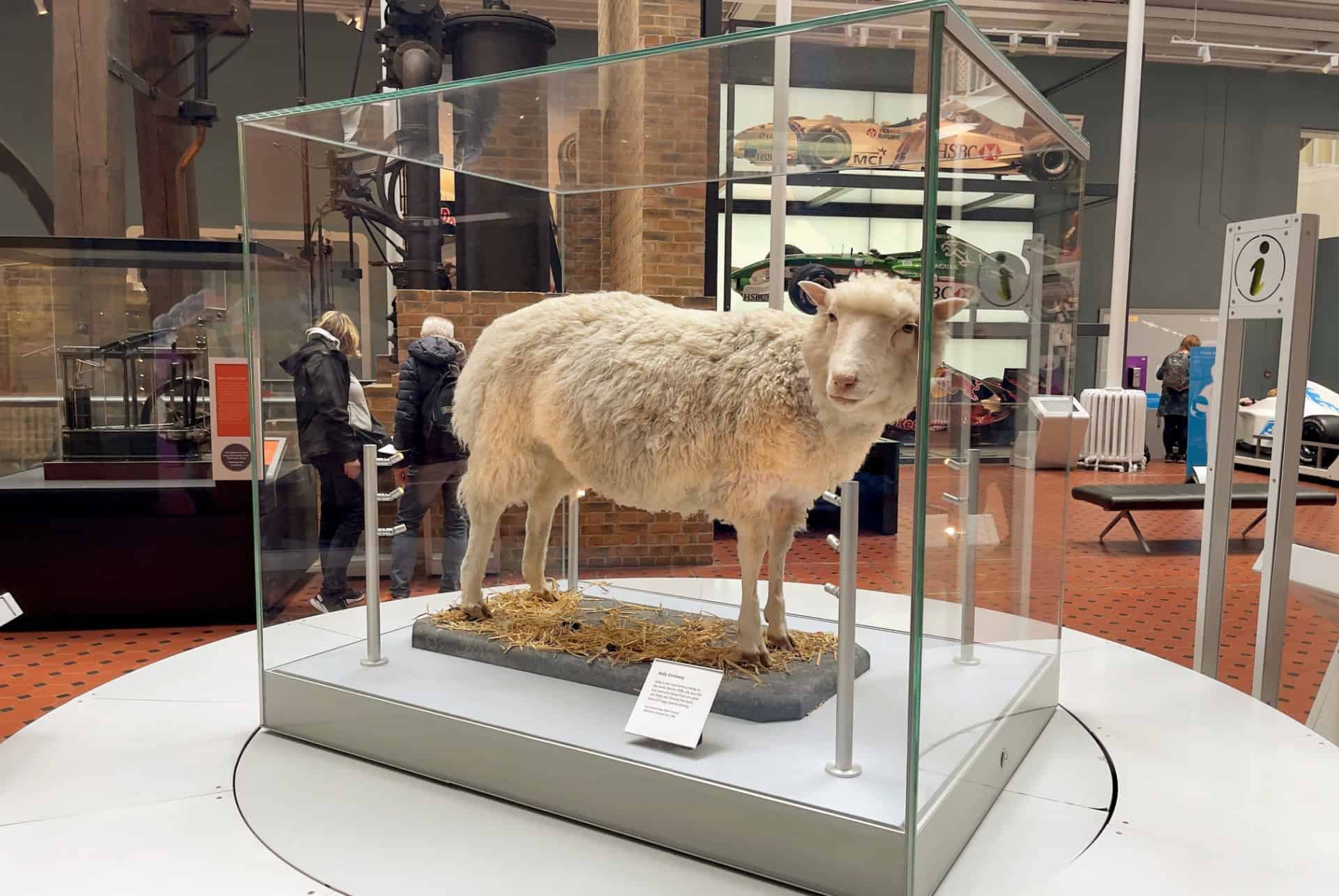 national museum of scotland dolly
