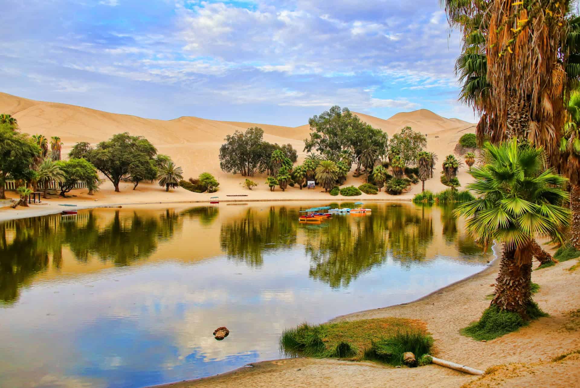 oasis de huacachina perou