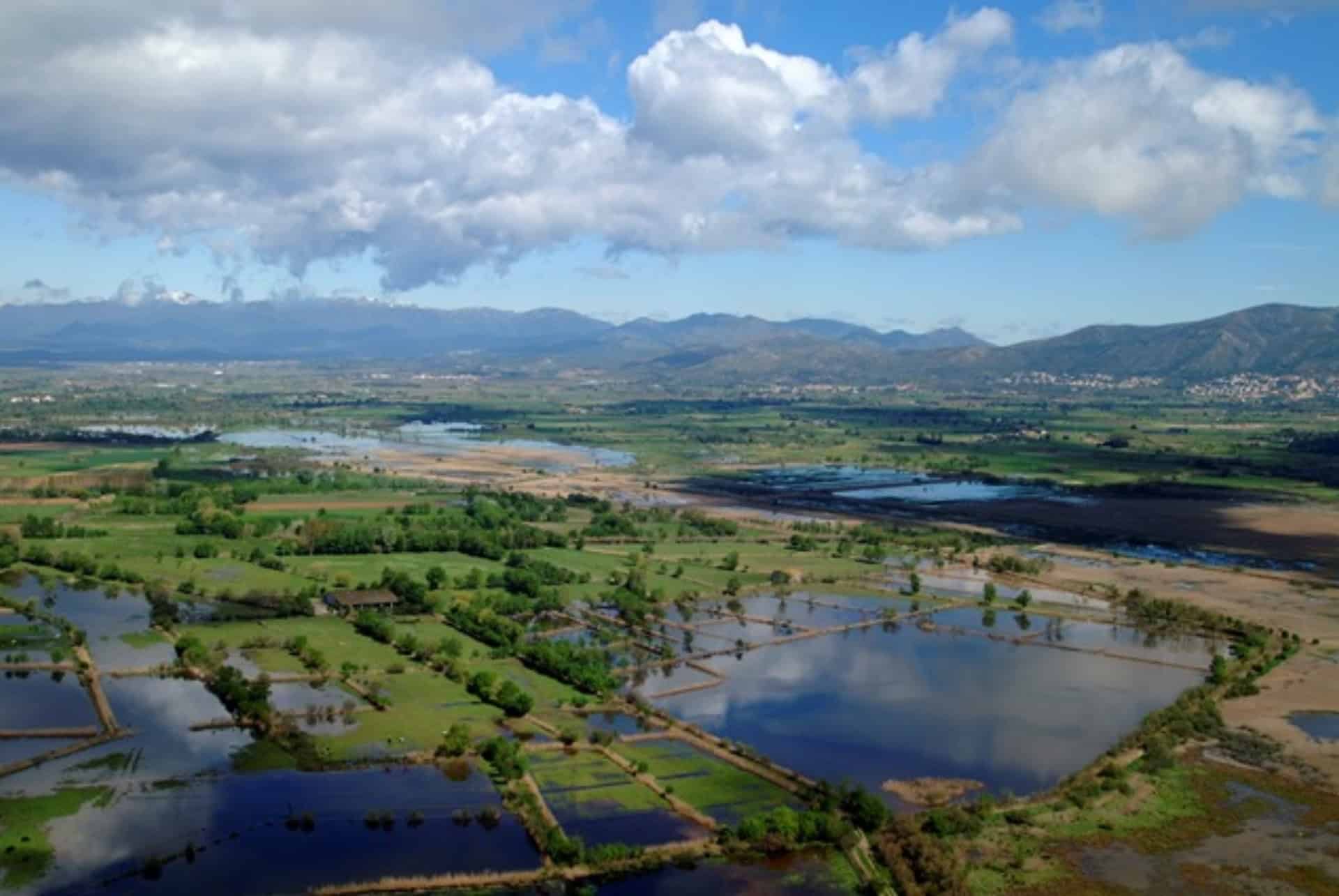 parc naturel els aiguamolls