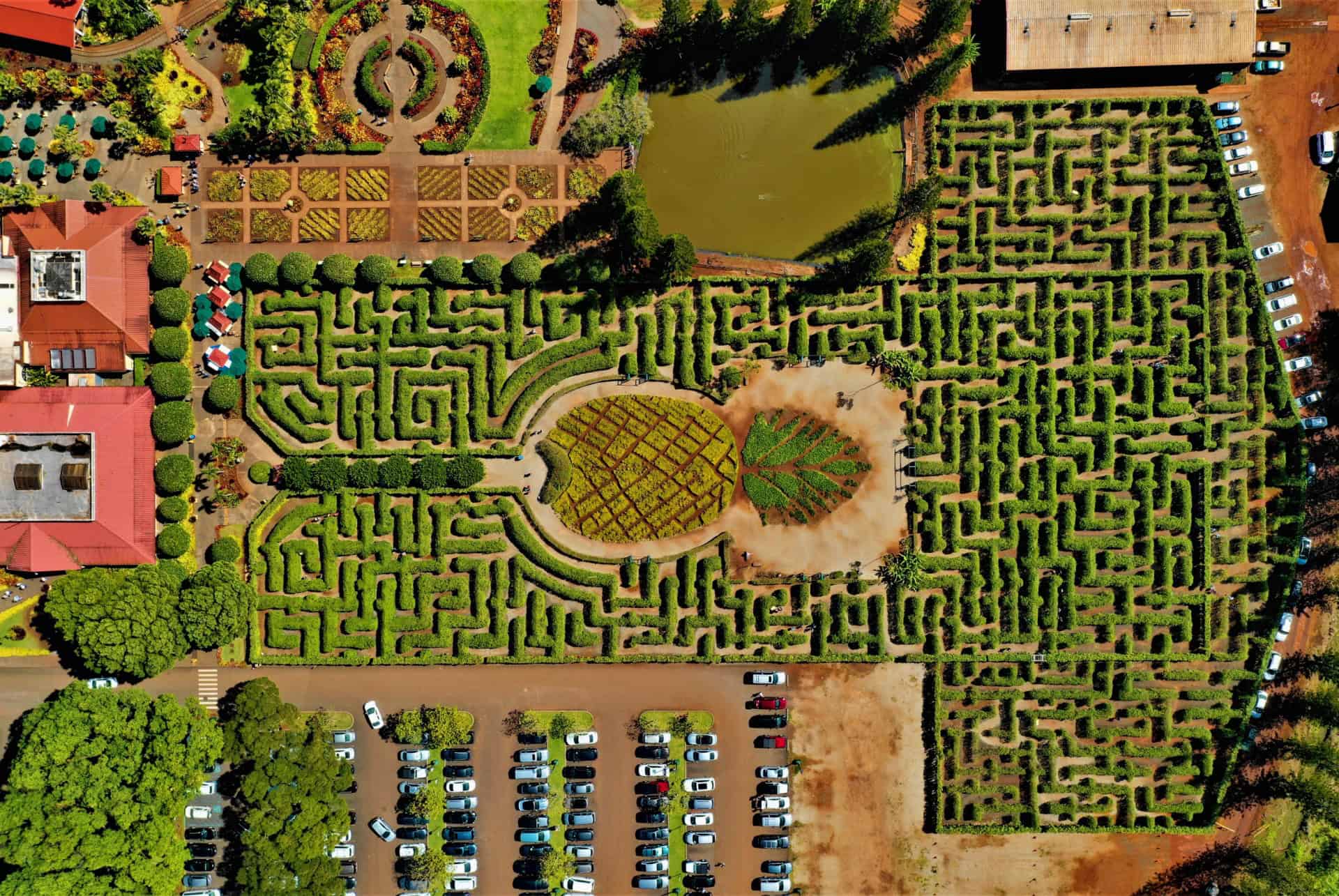 plantation dole que faire oahu