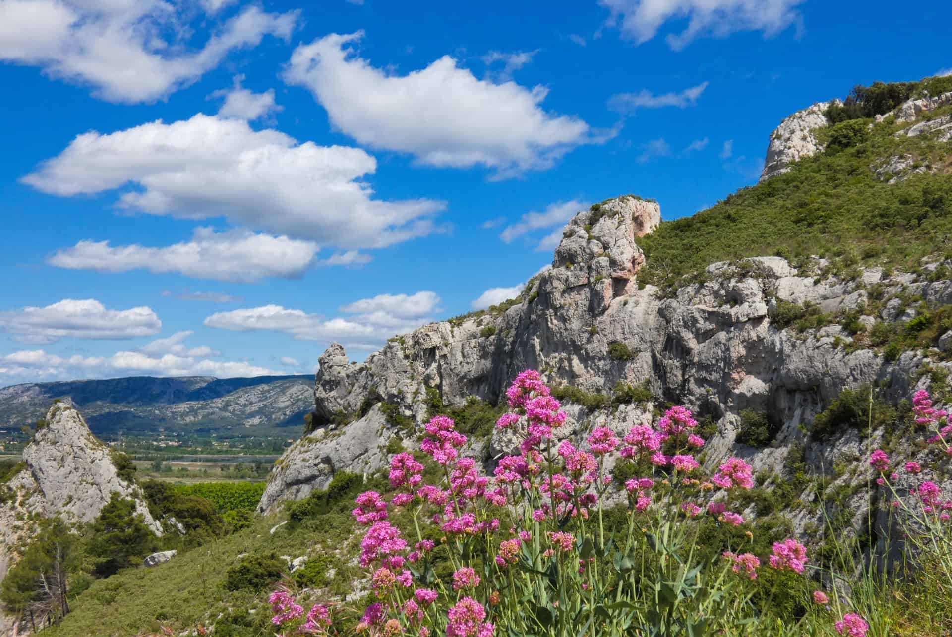 provence en printemps randonnees dans les alpilles
