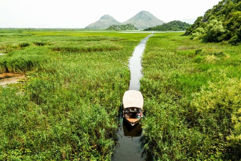 Lac de Skadar : croisière jusqu’au monastère de Kom