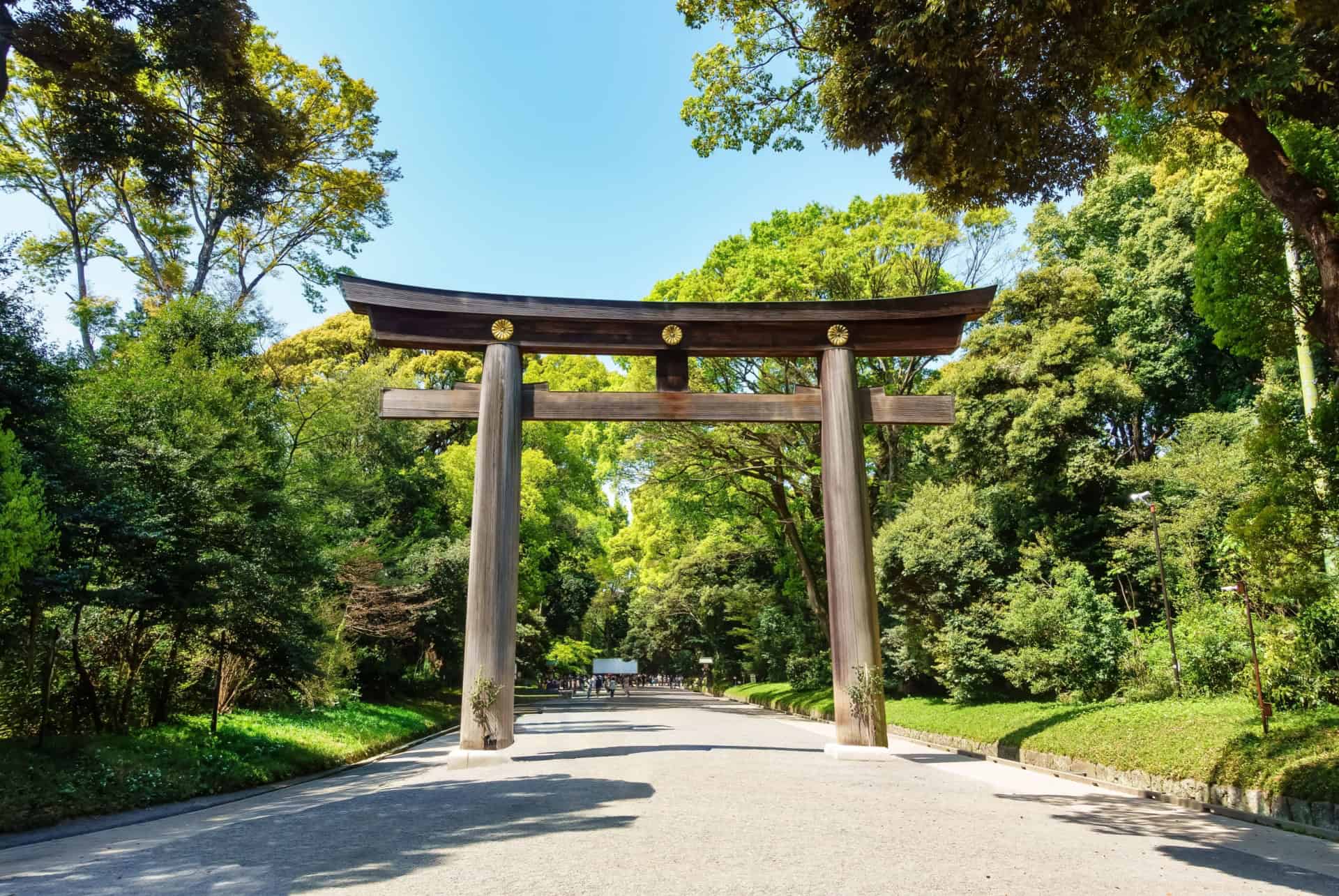que faire a tokyo parc yoyogi