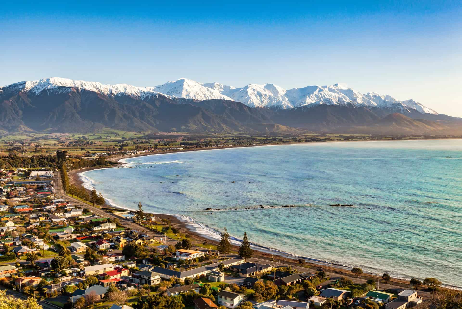 que faire a wellington excursion kaikoura