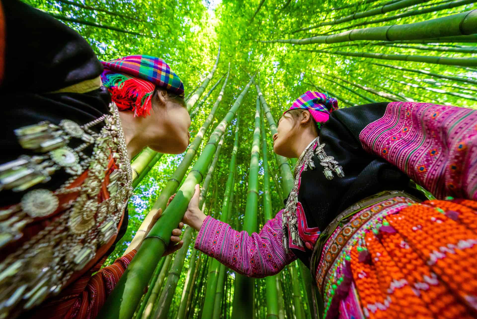 recolte mu cang chai