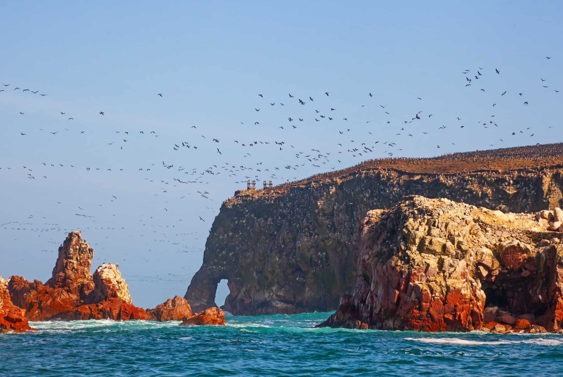 reserve de paracas perou