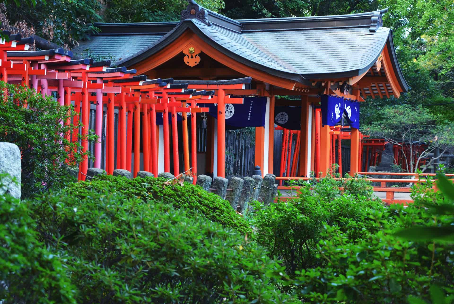 sanctuaire nezu jinja