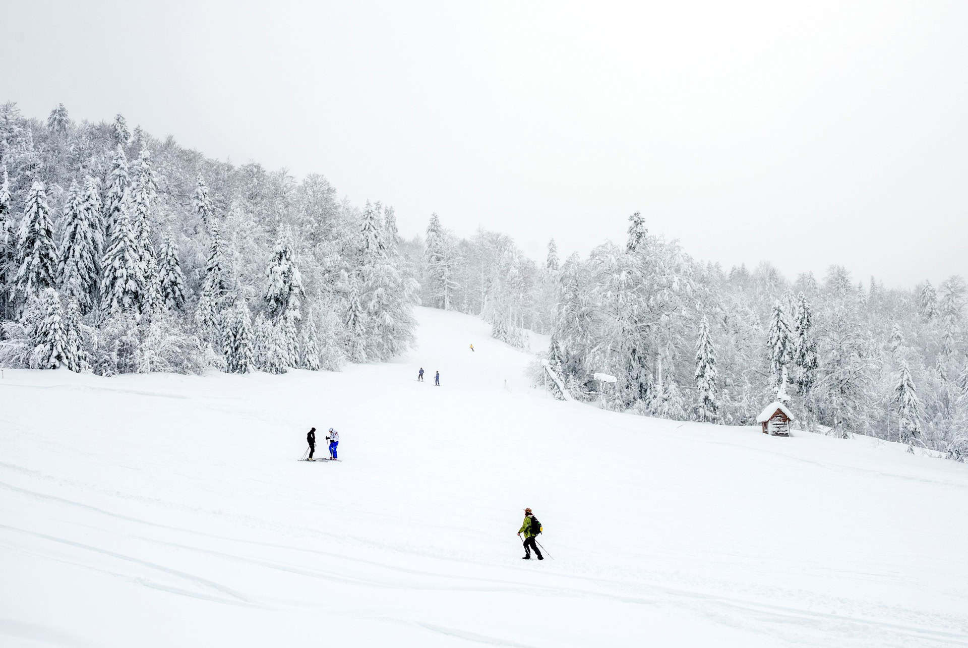 skier a kolasin