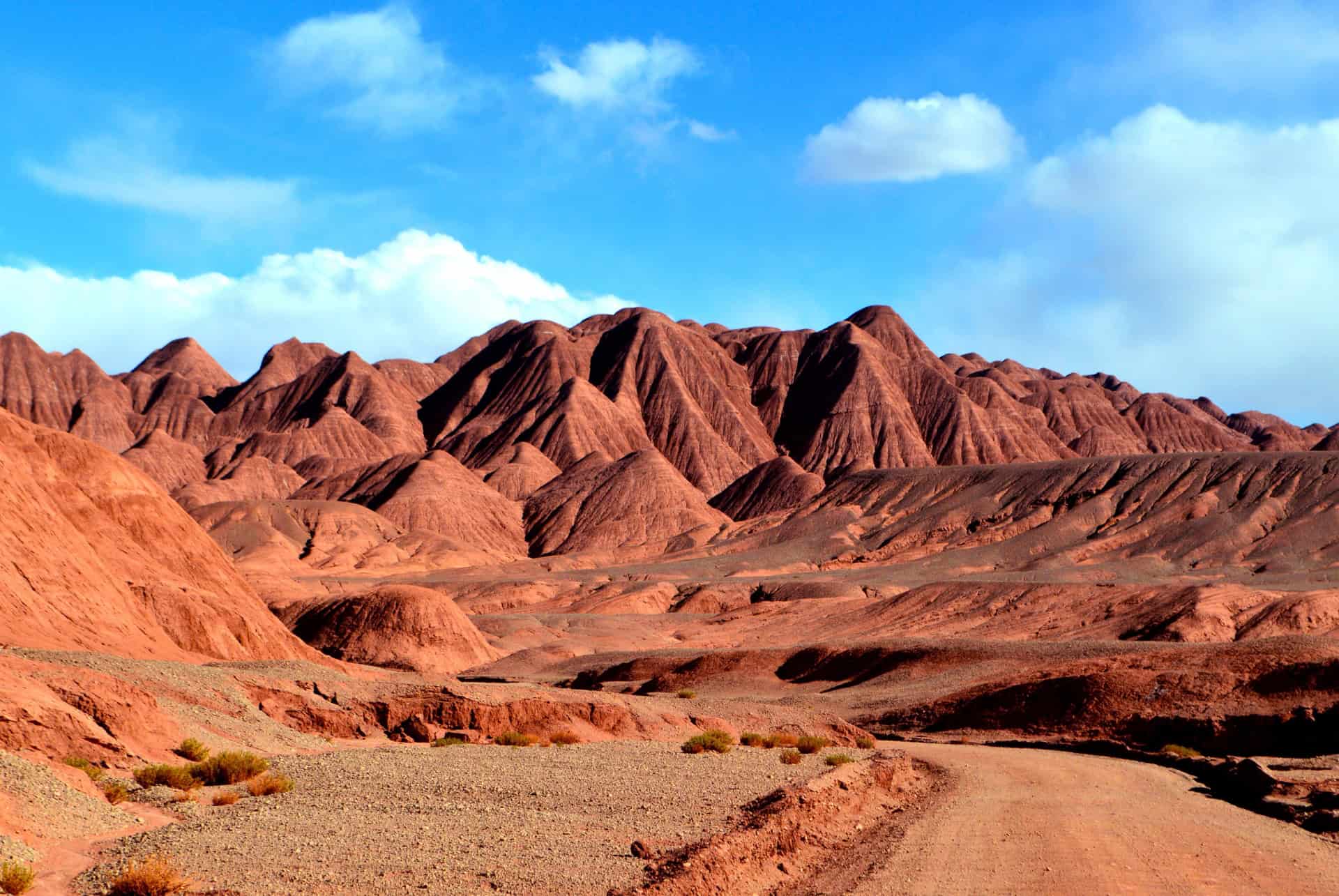 tolar grande argentine