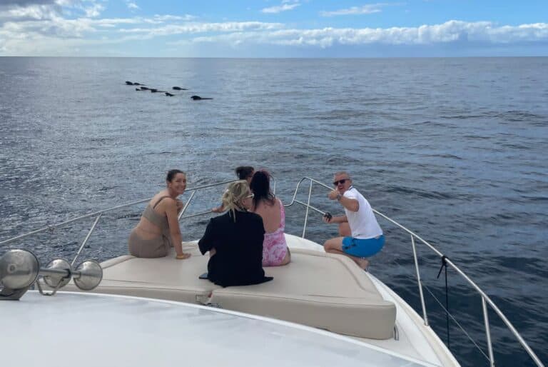 Excursion en yacht luxueux